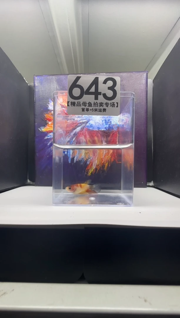 斗鱼母鱼编号：643