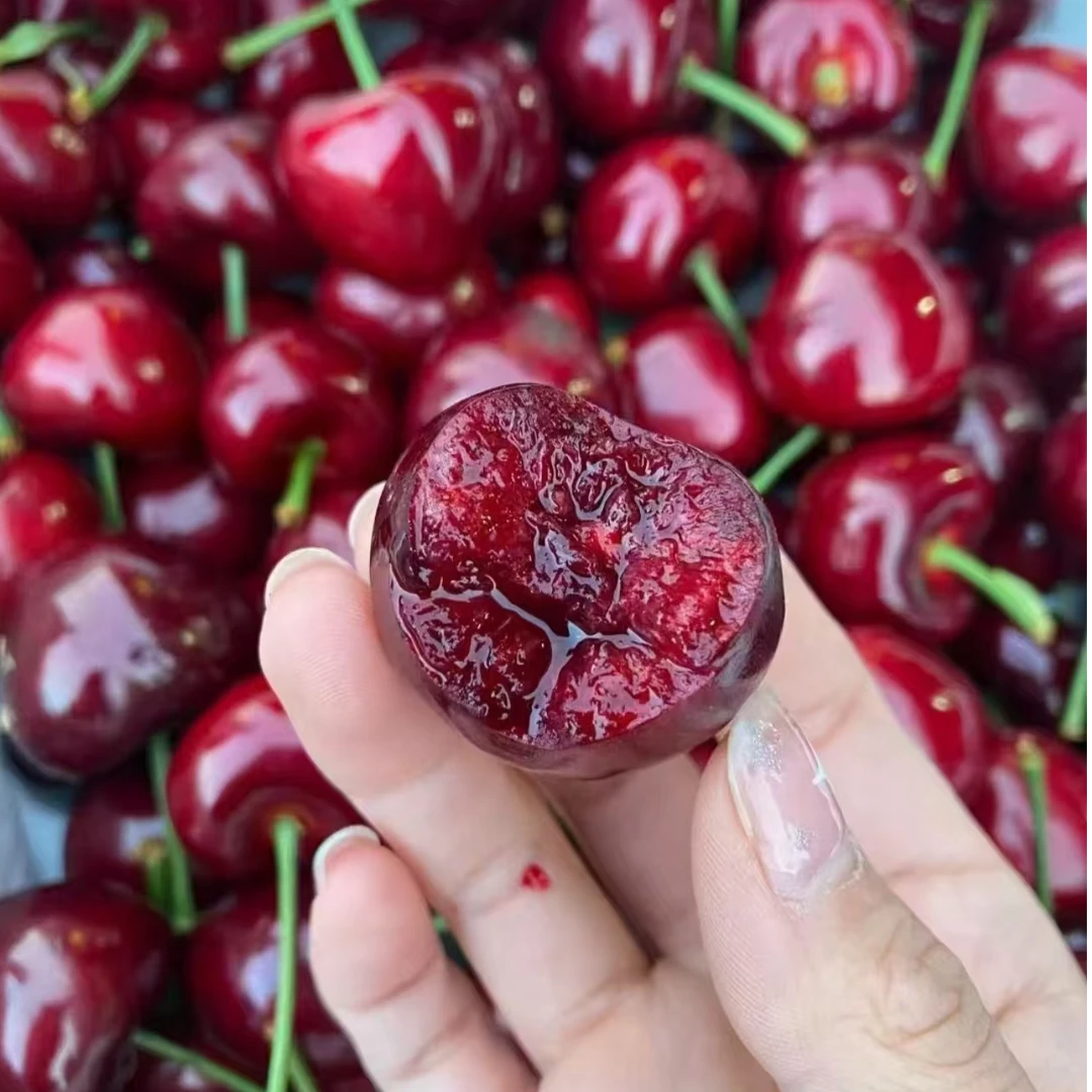 脆甜多汁  樱桃  一斤 L美早