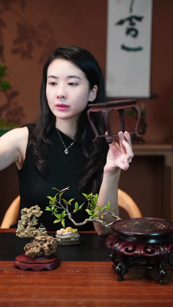 无花朵海马香几盆景盆景盆景