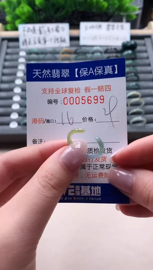 未镶嵌戒指翡翠  5699