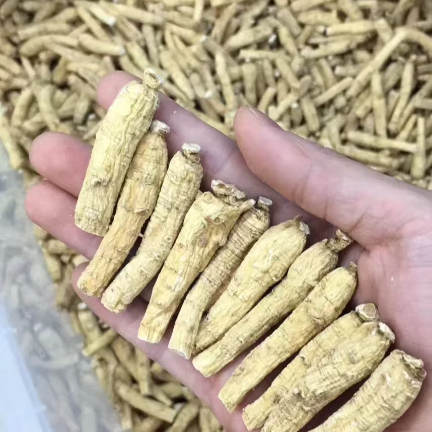 严选 十年西洋参枝条 60克（3克一枝）