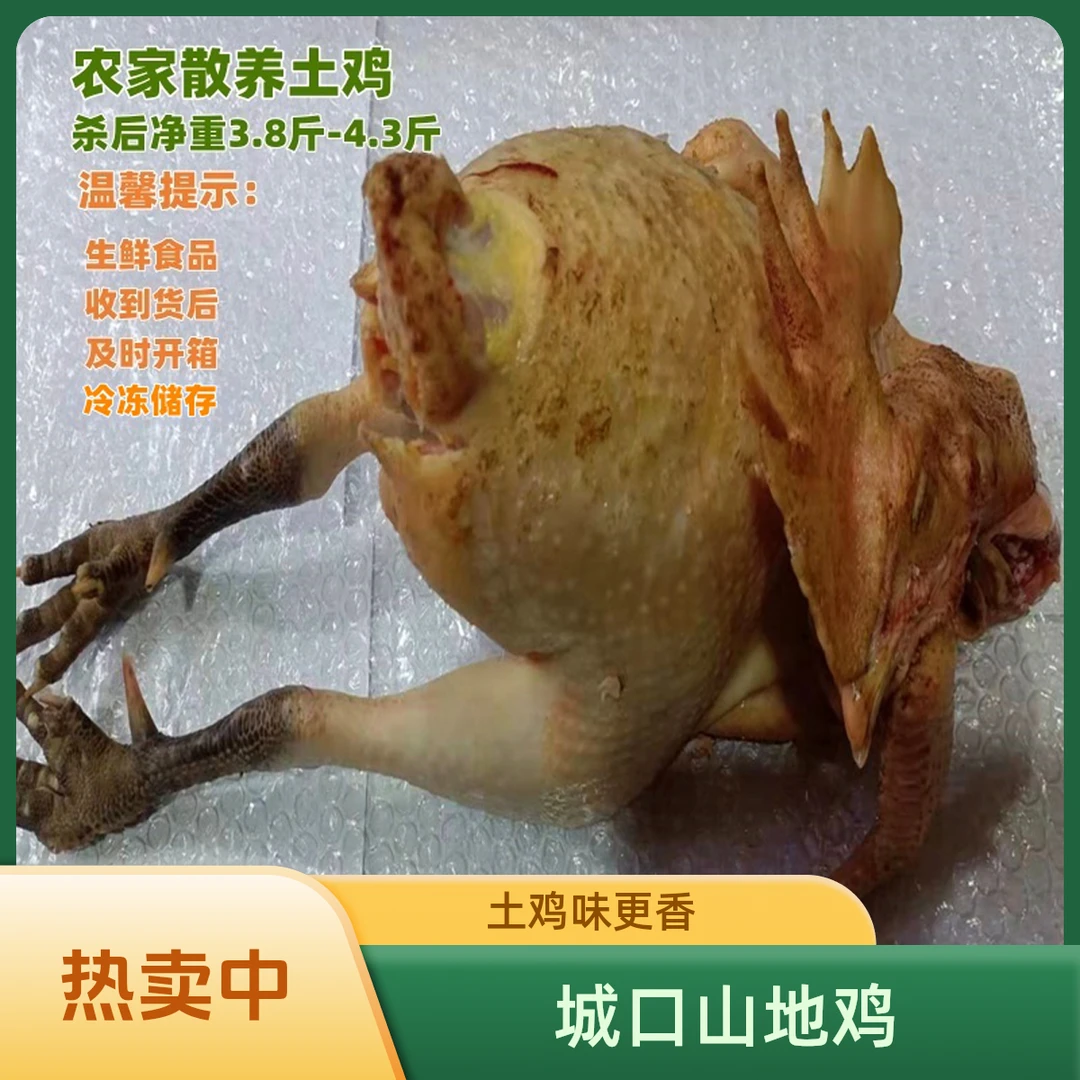 城口山地鸡散装称重现买现杀农家粮食喂养土鸡