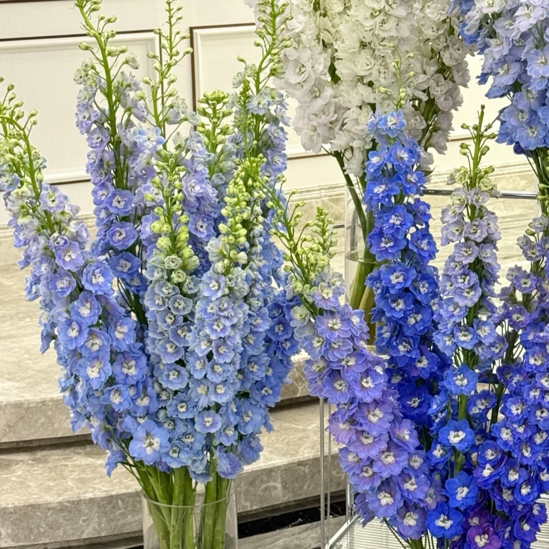 【小阿阮】A级#大飞燕#各种多巴胺马卡龙色系家居鲜花装饰 顺丰直发