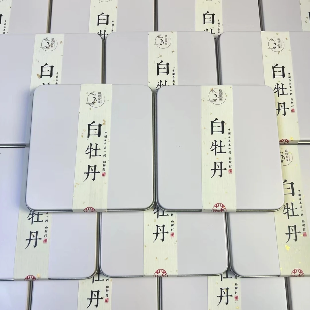 10盒简装铁盒2024花香白牡丹巧克力小方片福鼎白茶白牡丹蜜韵花香