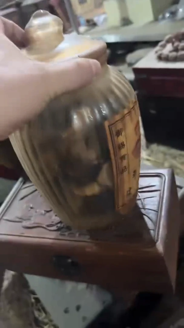 紫砂紫砂紫砂紫砂紫砂紫砂紫砂