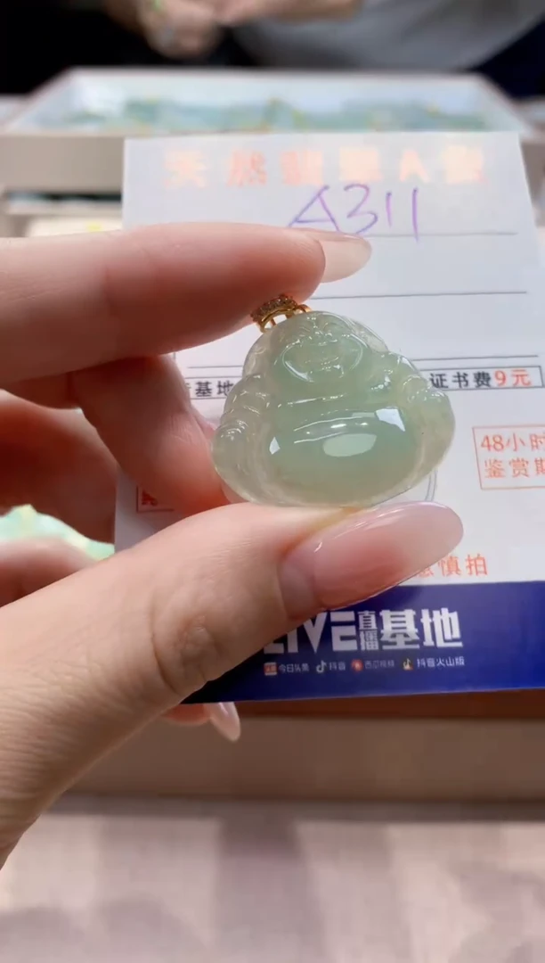 颈饰未镶嵌翡翠天然缅甸a货翡翠