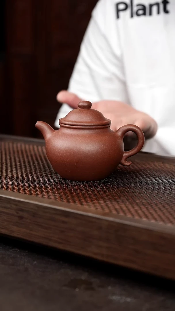 茶壶紫砂底槽清莲子