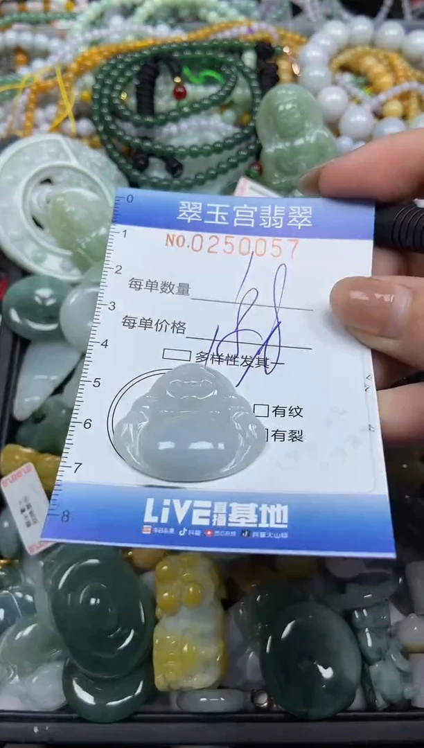 颈饰未镶嵌翡翠闪购C0250057