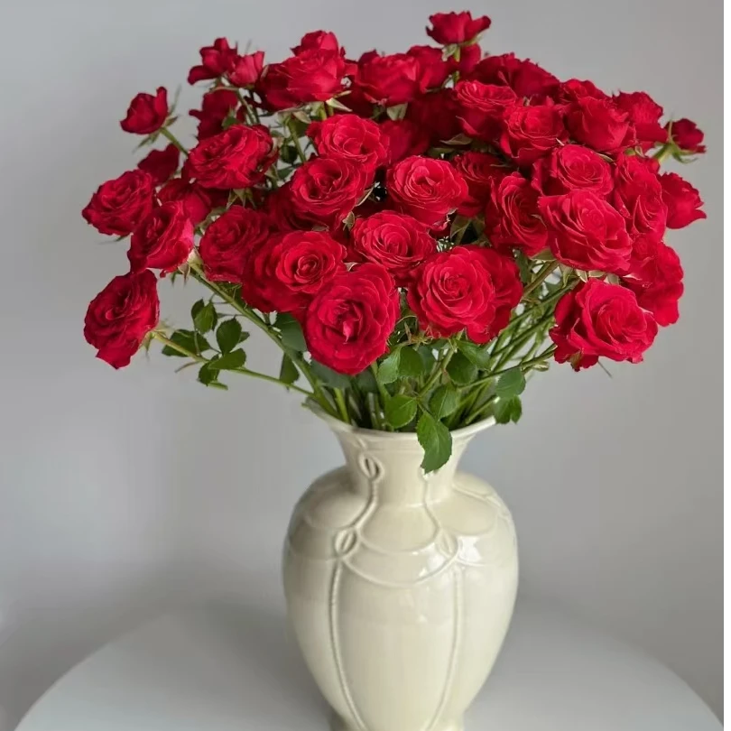 【今喜花舍】（多头）优雅公主 0°以下地区记得拍保温棉哦！！！