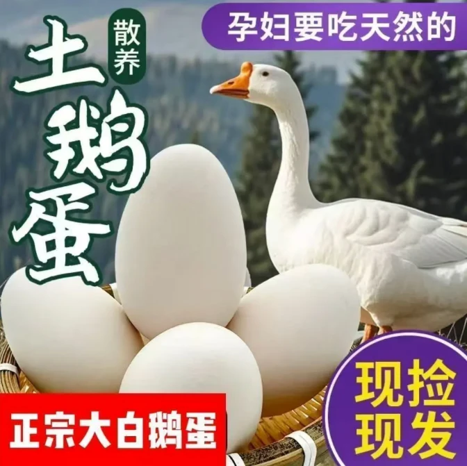 【拍10枚送10枚到手20枚】现捡现发新鲜散养生态农家土鹅蛋损坏包赔