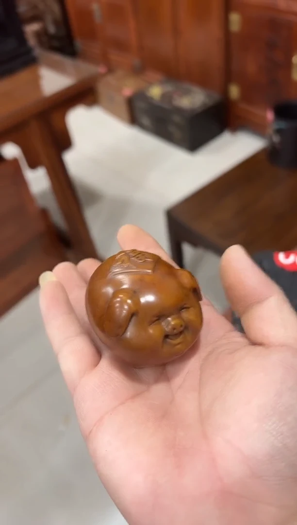 木黄杨小福猪把件