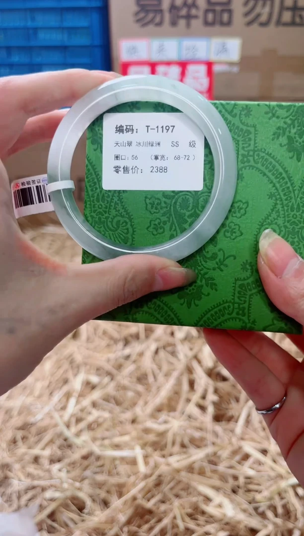 未镶嵌手镯石英质玉T-1197