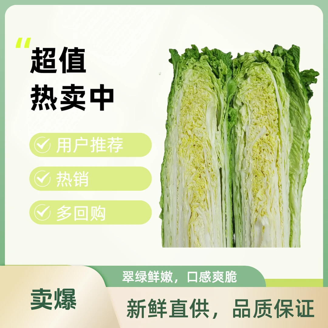 武邑农家种植天津绿青麻叶大白菜青口长杆嫩白菜