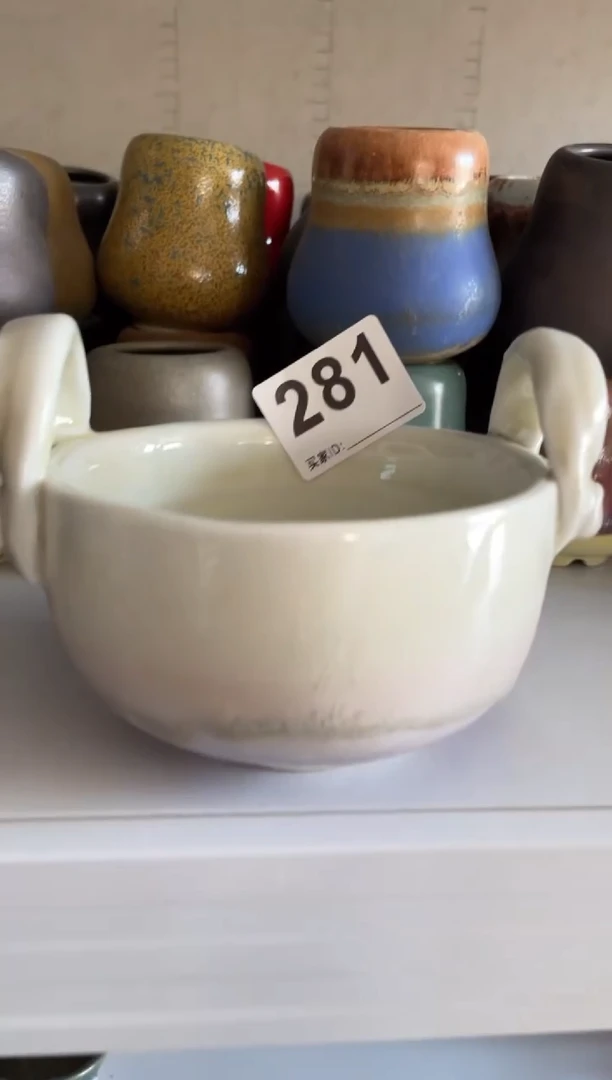 【闪购商品】摆件281知木小芳花盆