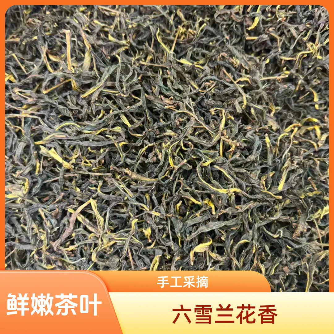 凤凰单丛【六雪兰花香 】花香高扬广东乌龙茶叶 甜水回甘单枞茶叶