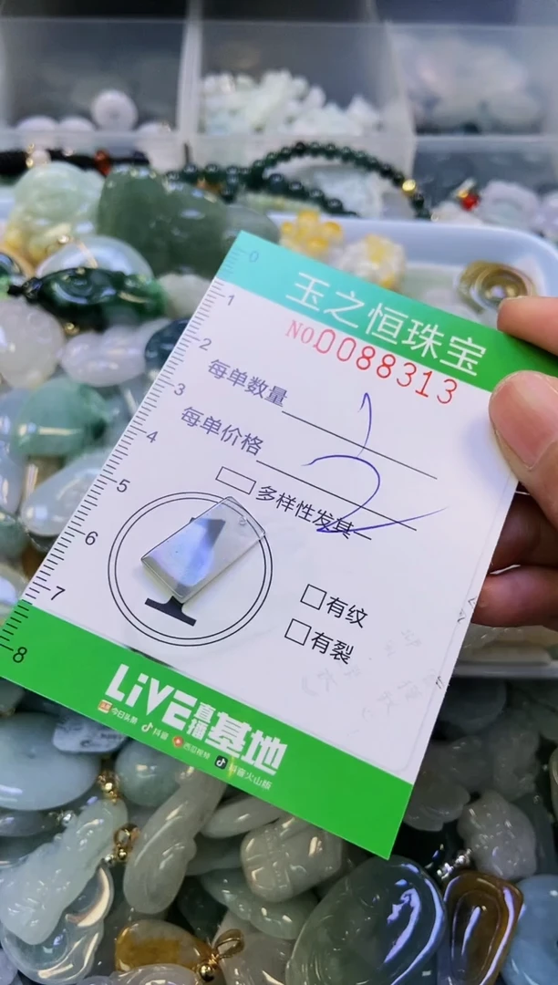 翡翠未镶嵌颈饰闪购0088313