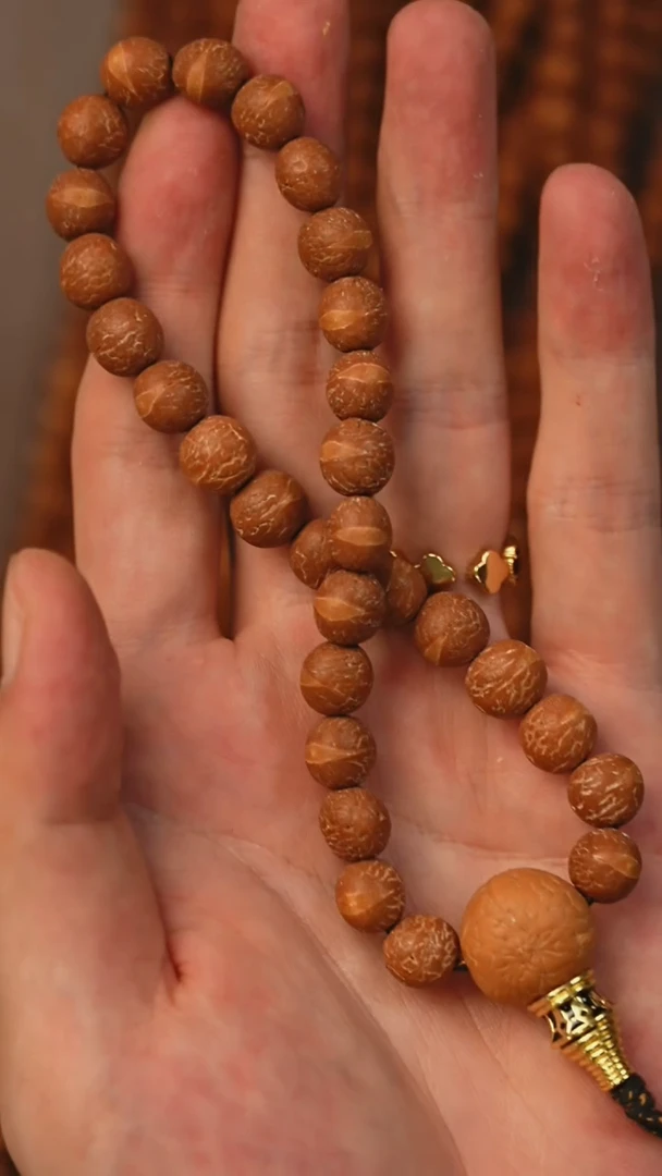 手串凤眼菩提F**2S06酸枣核单圈