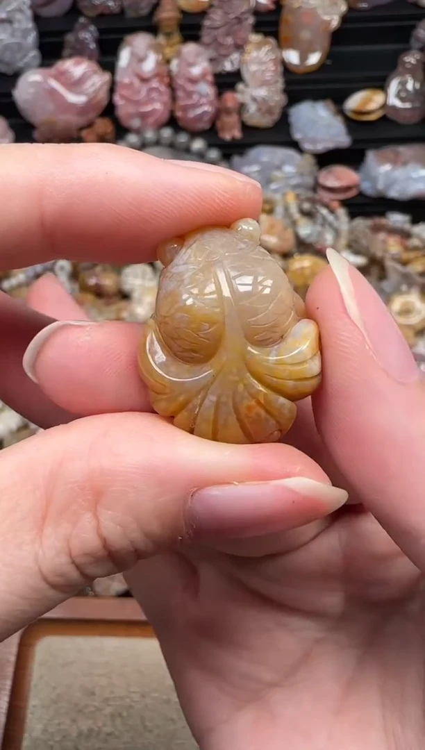 颈饰未镶嵌硅化珊瑚（珊瑚玉）041