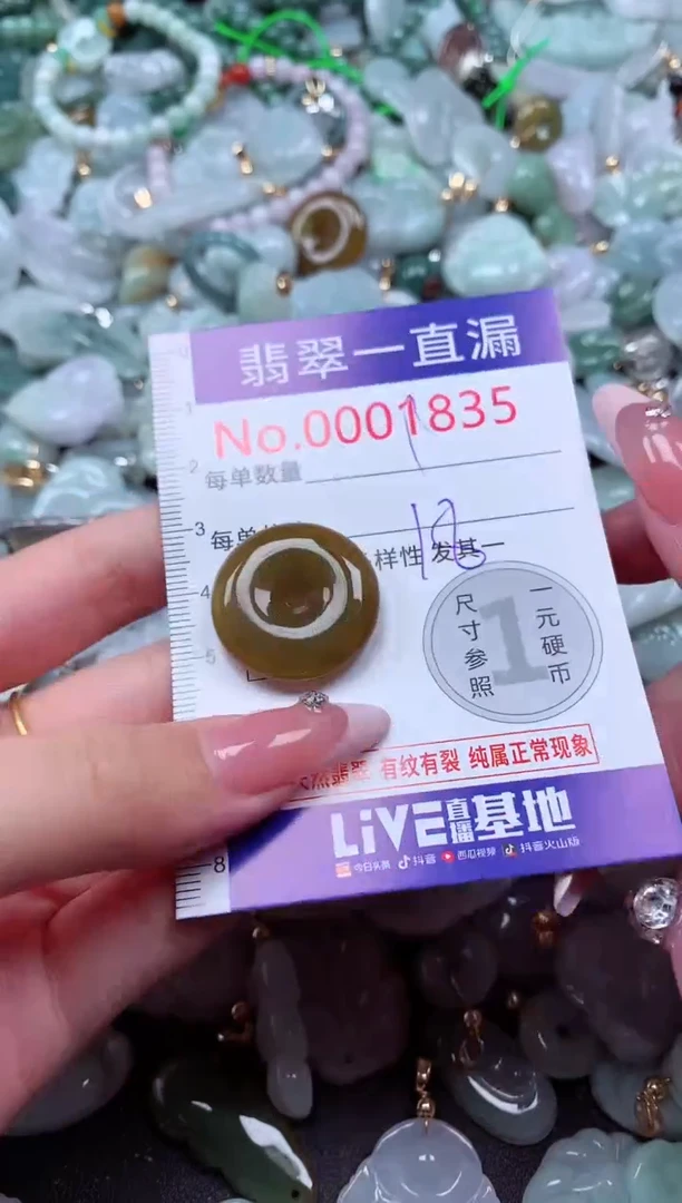 翡翠未镶嵌吊坠(不含链)1835