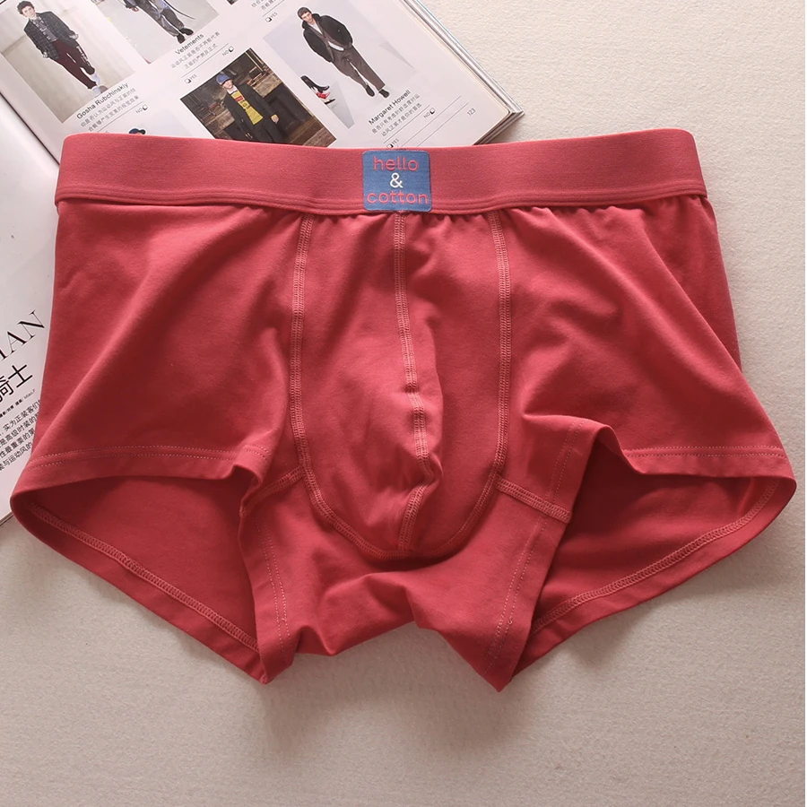 TERINELO/黛芮奈勒高端优质棉中腰舒适男士内裤日系简约素色