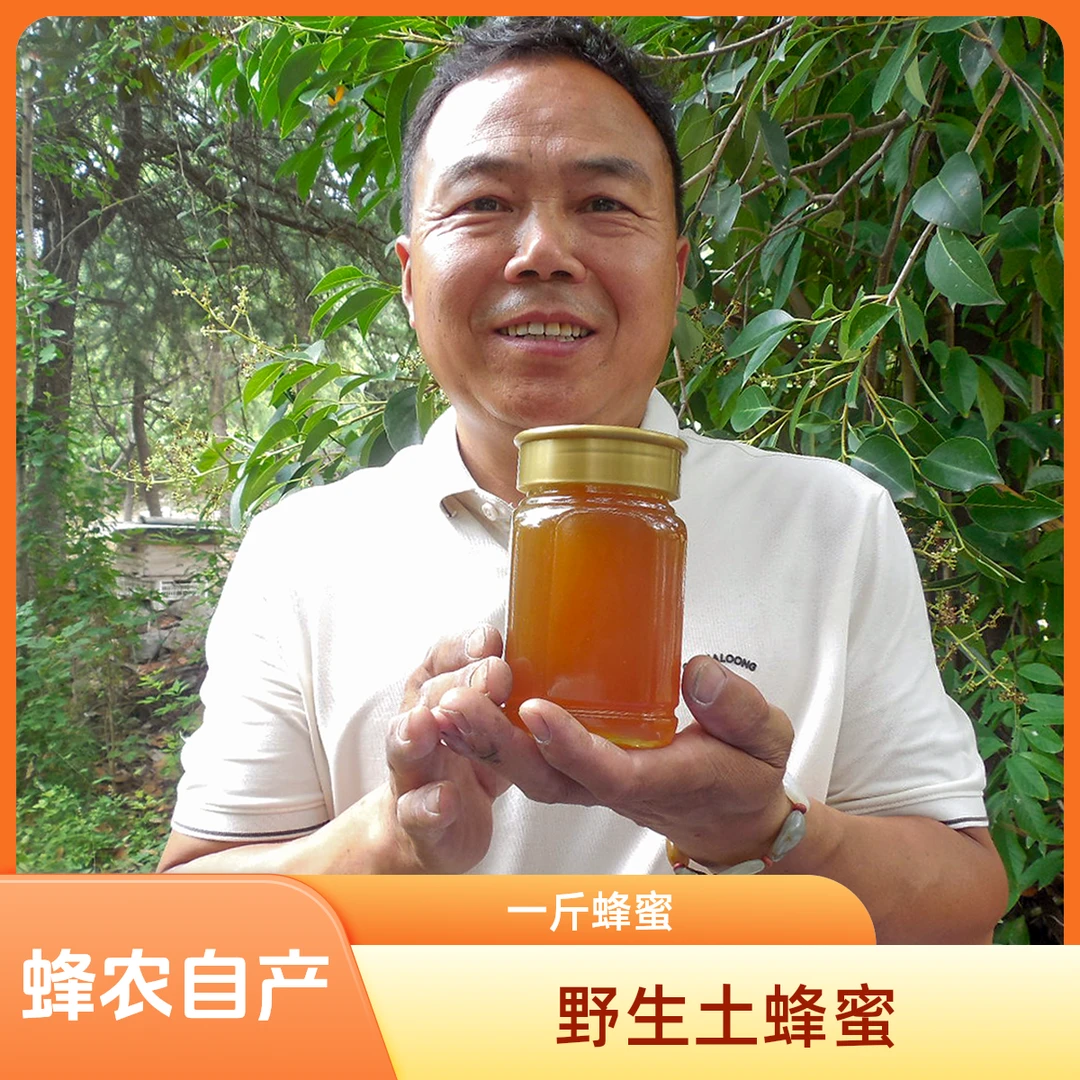 大山野生土蜂蜜【支持检测】零喂养保真自然农家结晶蜂蜜
