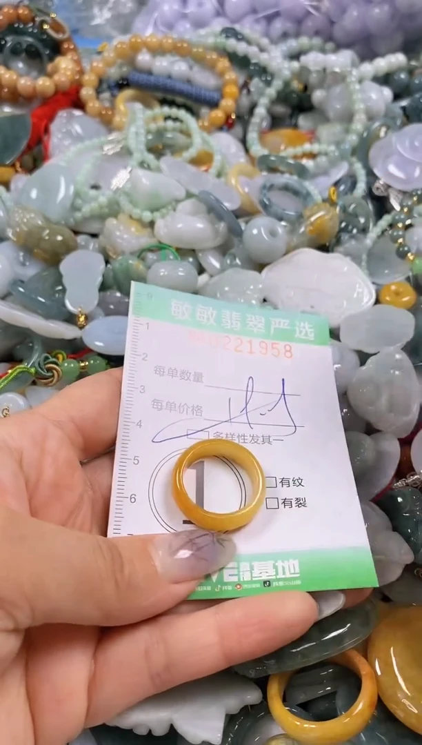 翡翠未镶嵌颈饰闪购0221958多样性发其一