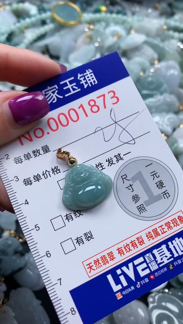 颈饰未镶嵌翡翠1873