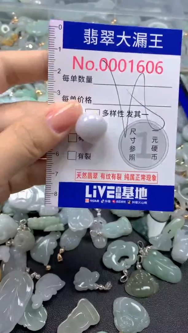 颈饰未镶嵌翡翠1606