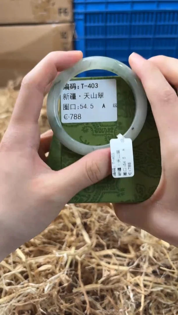 未镶嵌手镯石英质玉T-403