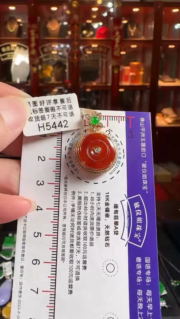 颈饰18K金镶嵌翡翠H5442红翡平安扣