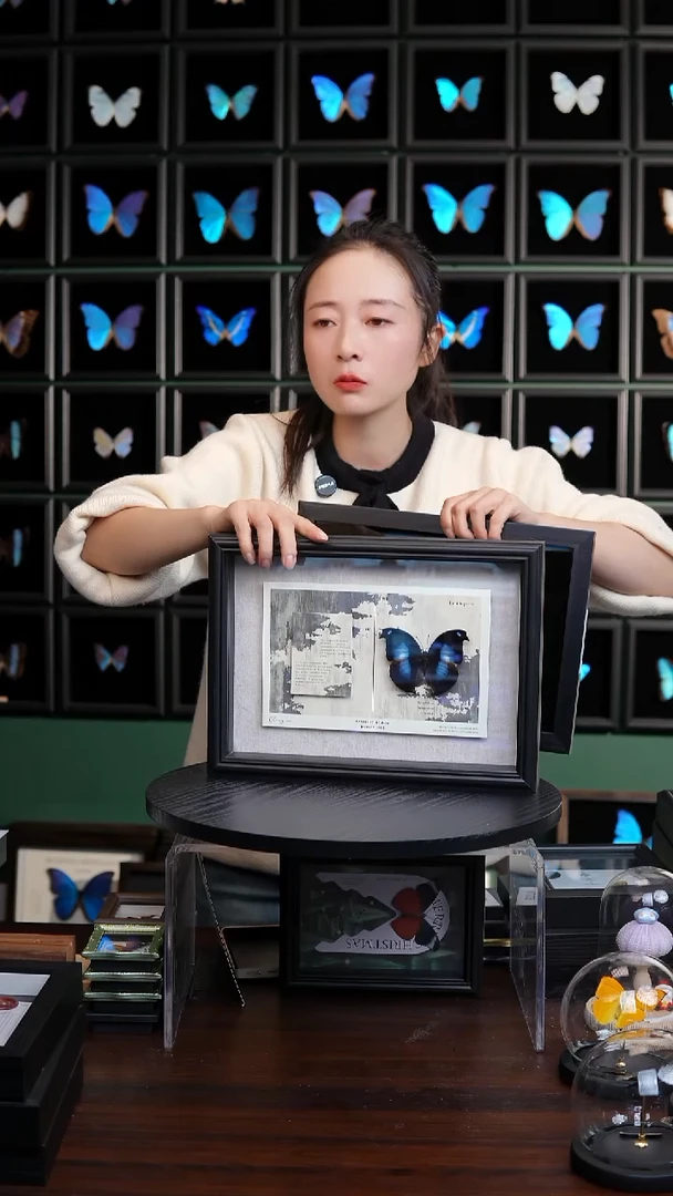 爱情鸟蛱蝶新版本横框