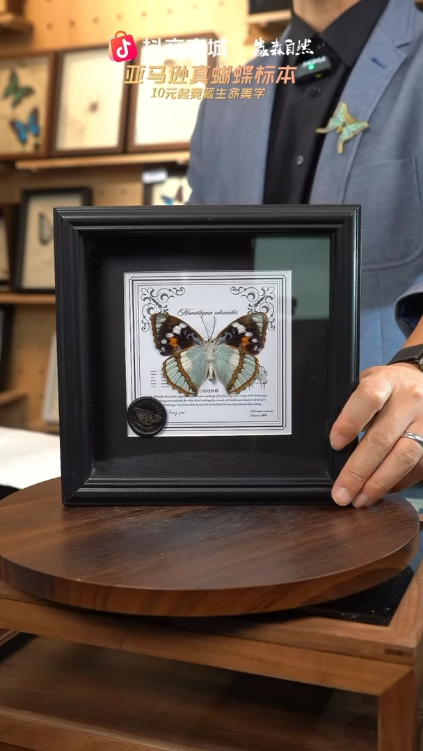 白斑迷蛱蝶反面7寸欧式方框