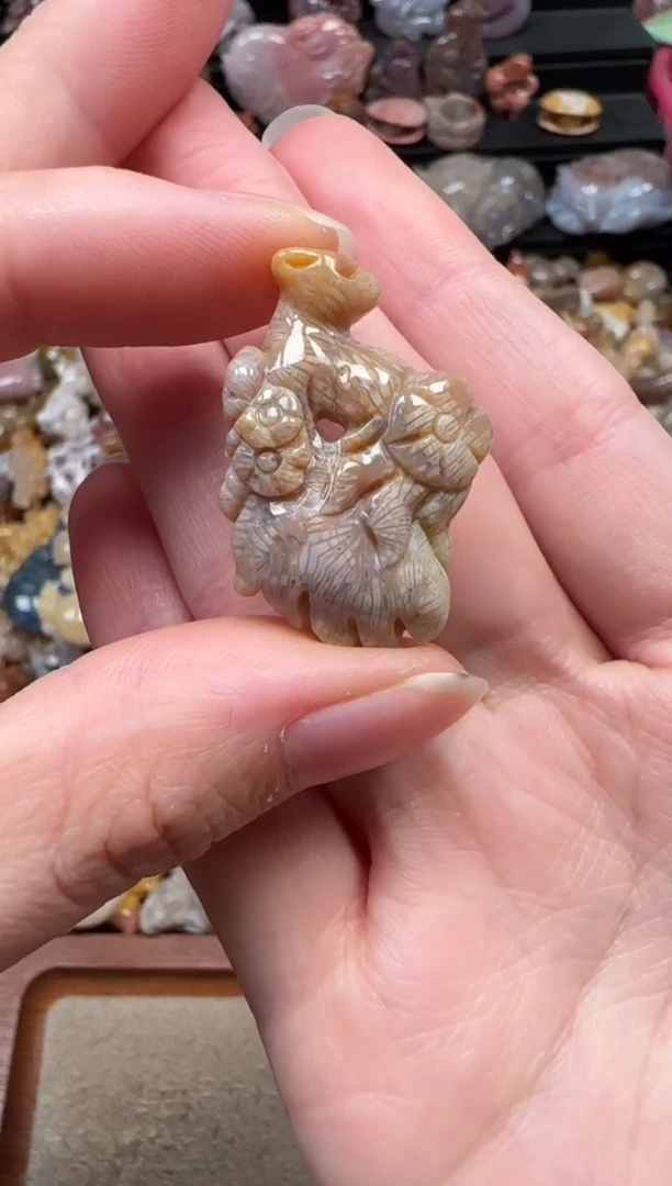 颈饰未镶嵌硅化珊瑚（珊瑚玉）757