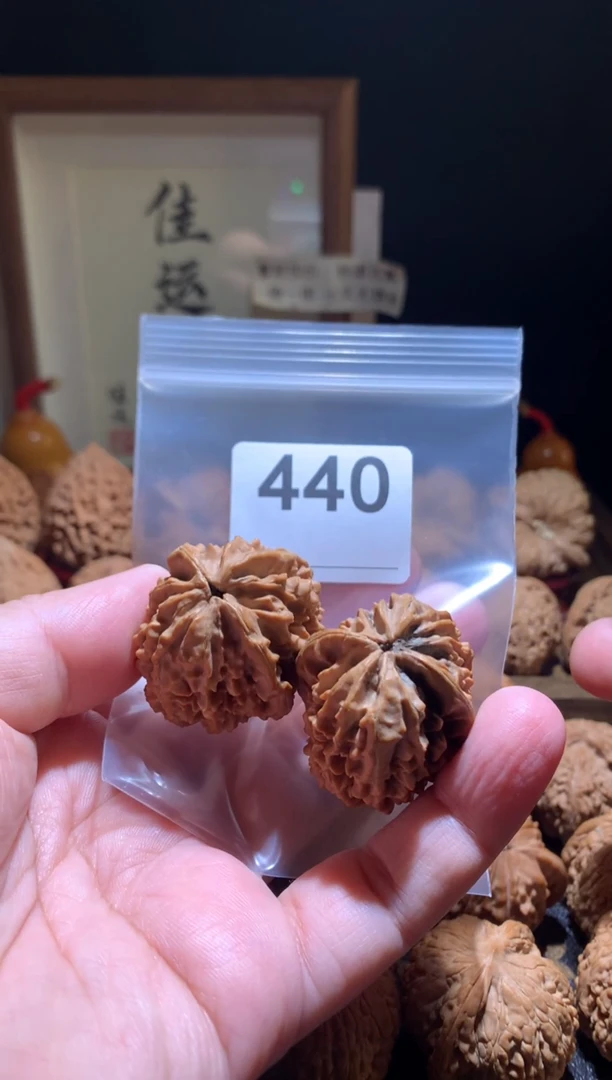 核桃招财鼠33尺别打底，影响二次销售不退不换