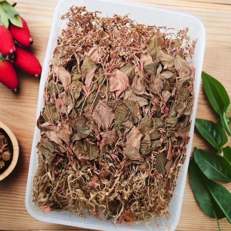 小太阳景云  开花金线莲  鱼胶花胶 250g