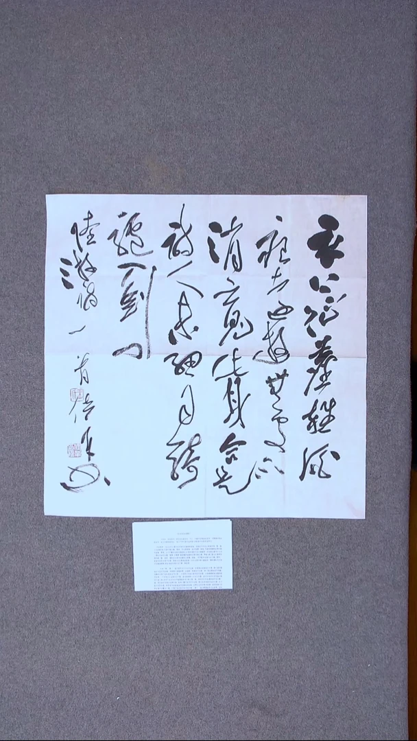 书法王位辛  江苏69*69（4）