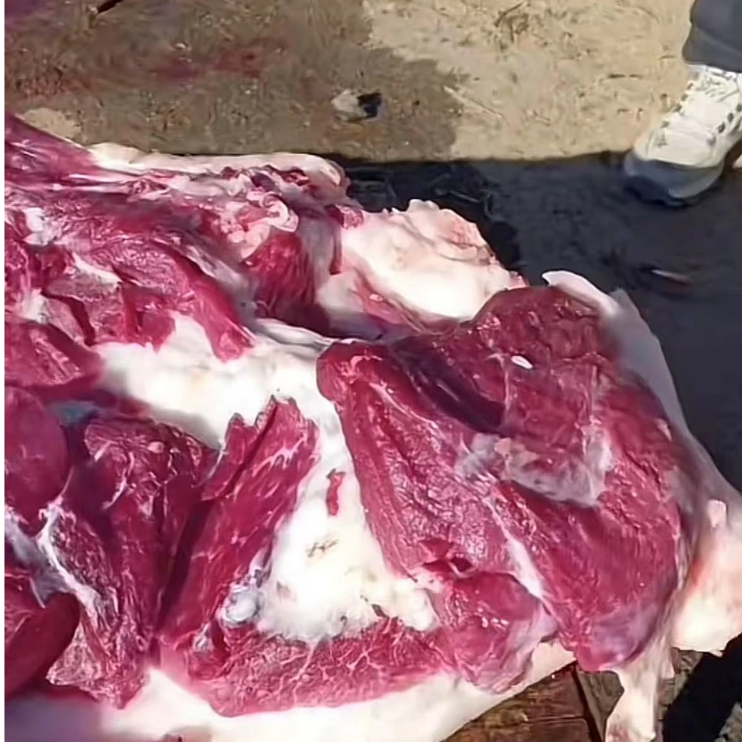 猪肘/猪蹄/大骨 农家黑猪肉