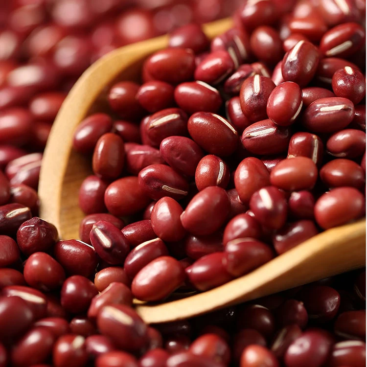 农家小红豆五谷杂粮易出沙香糯红小豆