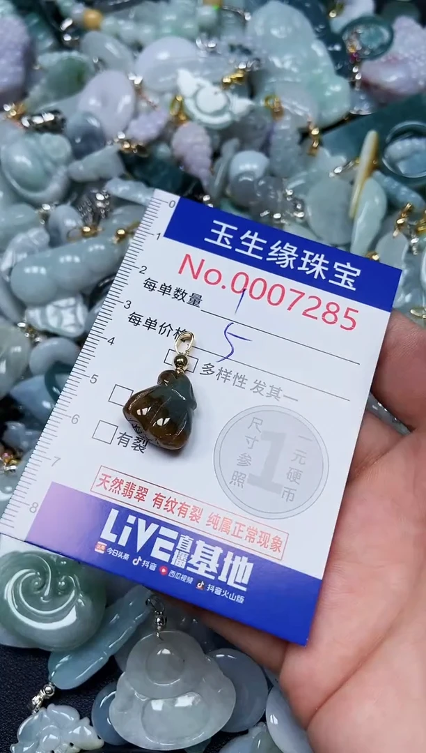 【闪购商品】翡翠颈饰未镶嵌闪购00007285