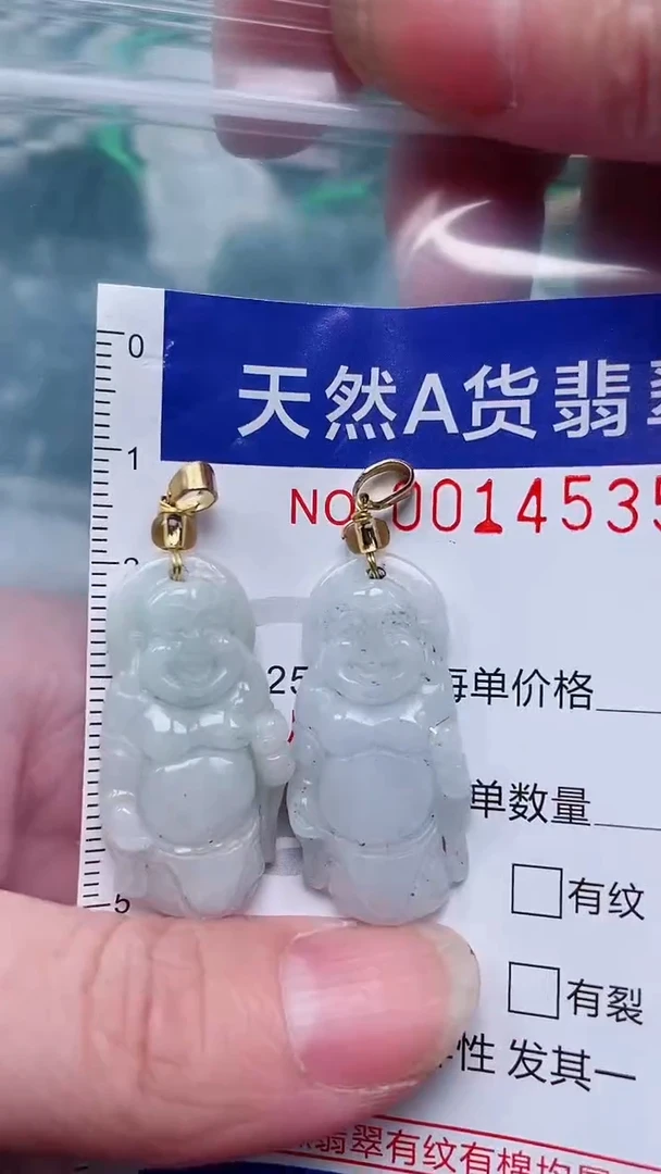 翡翠未镶嵌吊坠(赠链)1