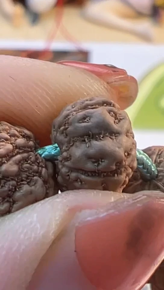 【闪购商品】金刚菩提手串560战神级勿利达老树王9-13+