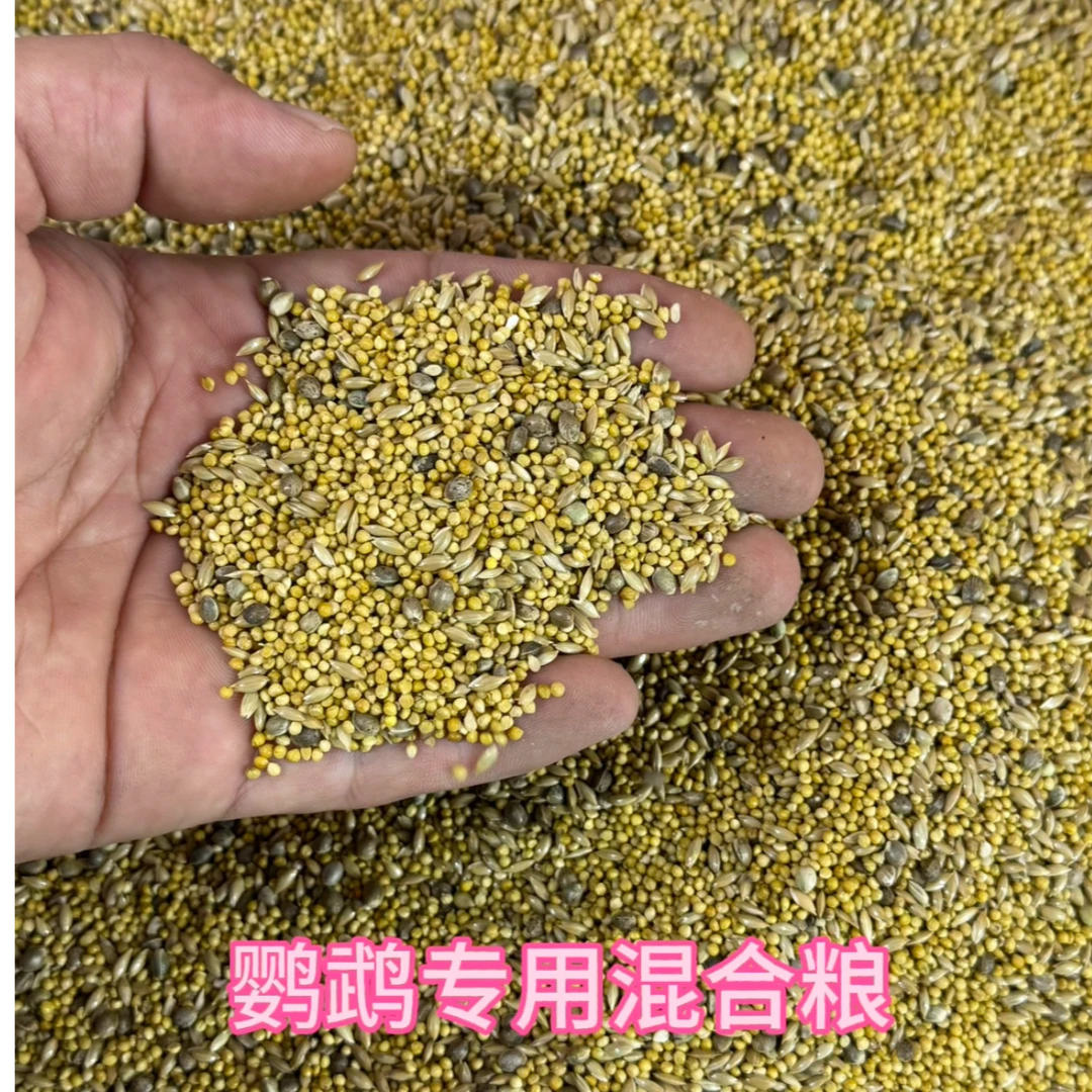 鹦鹉主粮混合粮虎皮饲料金彩大头鸟食