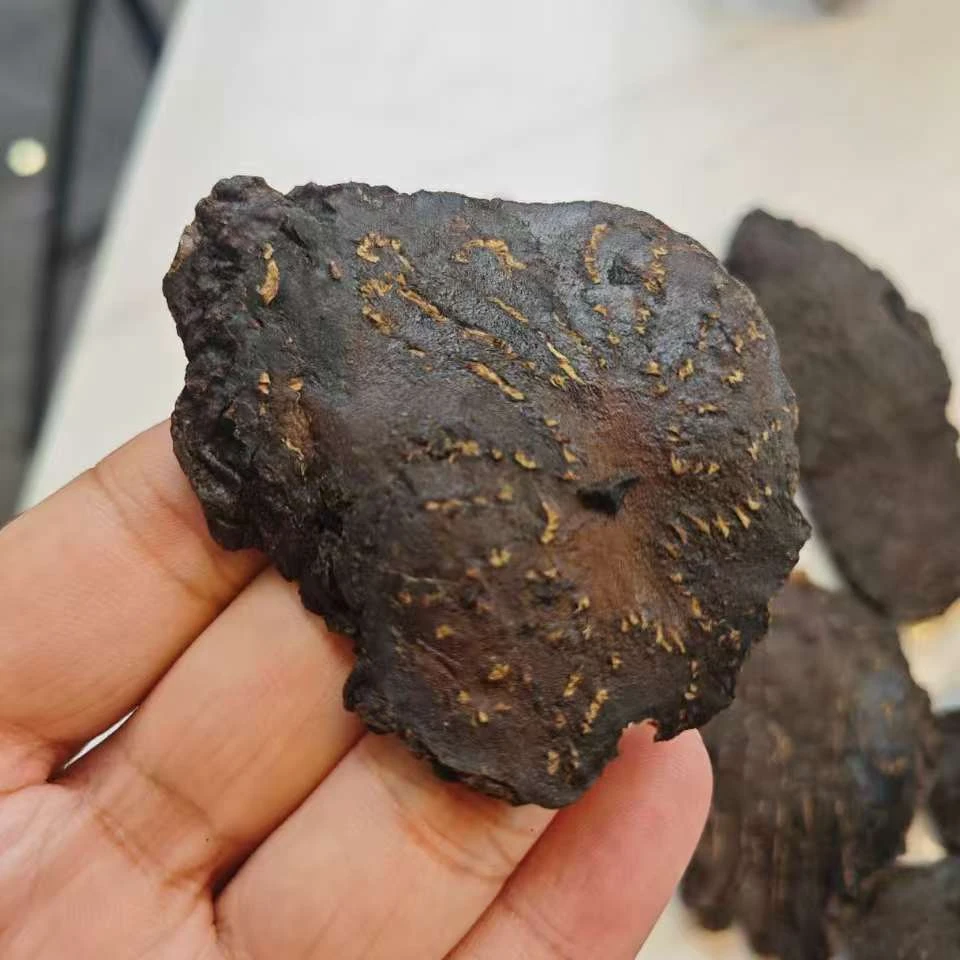 【聪爸精选】肉苁蓉 切片大片 内蒙阿拉善沙漠人参油性十足纹理清晰