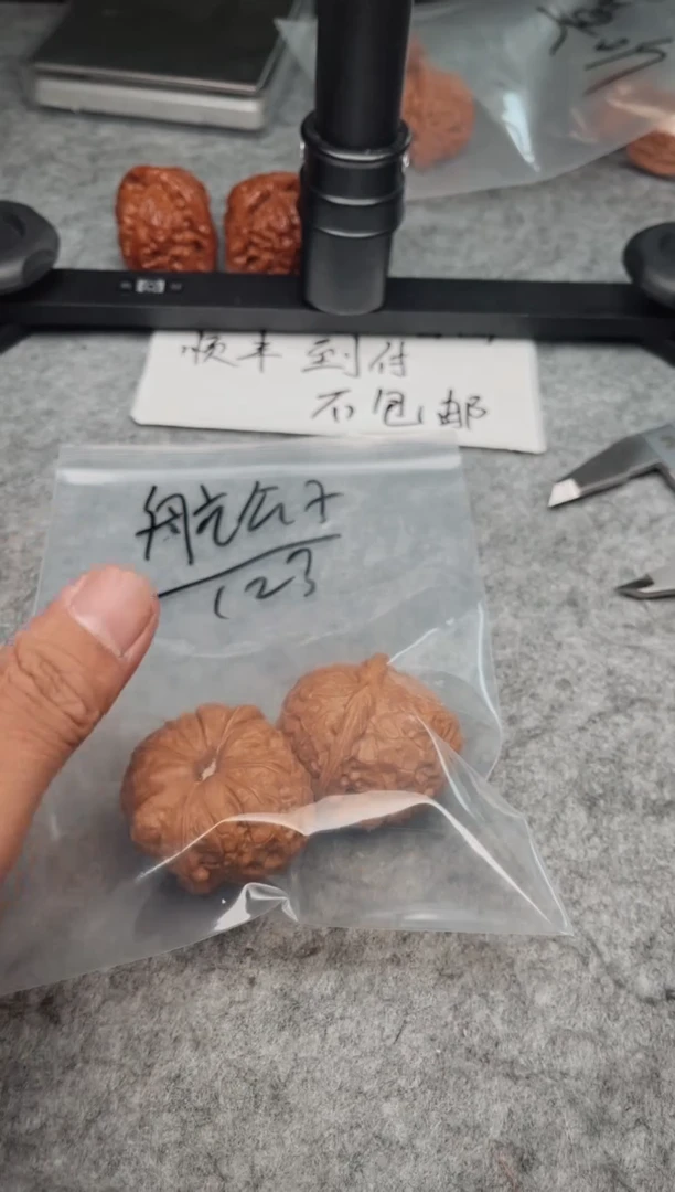 文玩核桃把件0610-cu-航公子