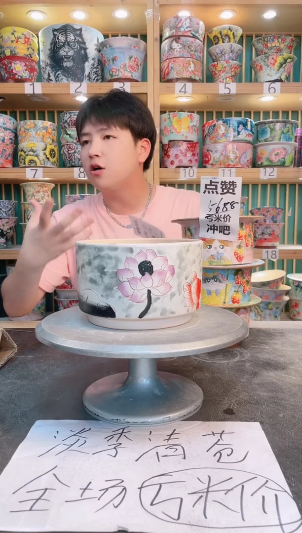 瓷片默认微瑕一物一拍0525-258