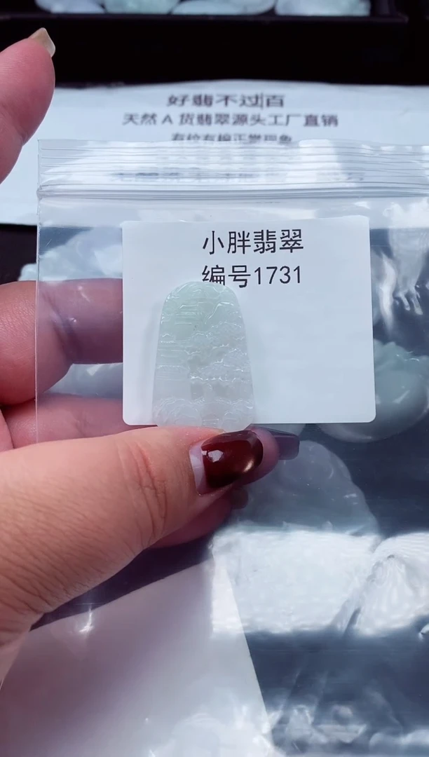 颈饰未镶嵌翡翠缅甸天然A货翡翠1731