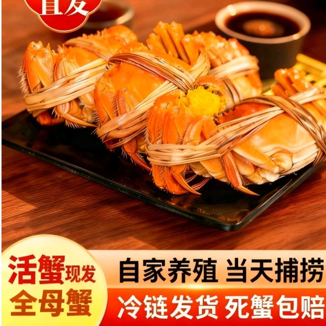金标【全母蟹3.3-3.6两】 6-10只 江苏精品大闸蟹顺丰冷链礼盒包邮X