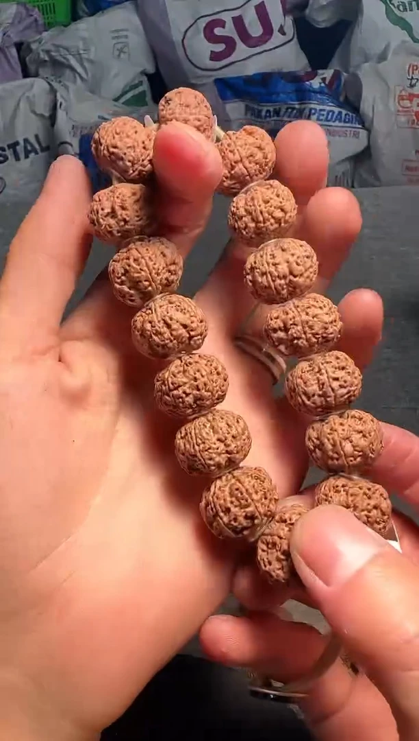 手串金刚菩提毕业级细纹满天星六掰-19mm