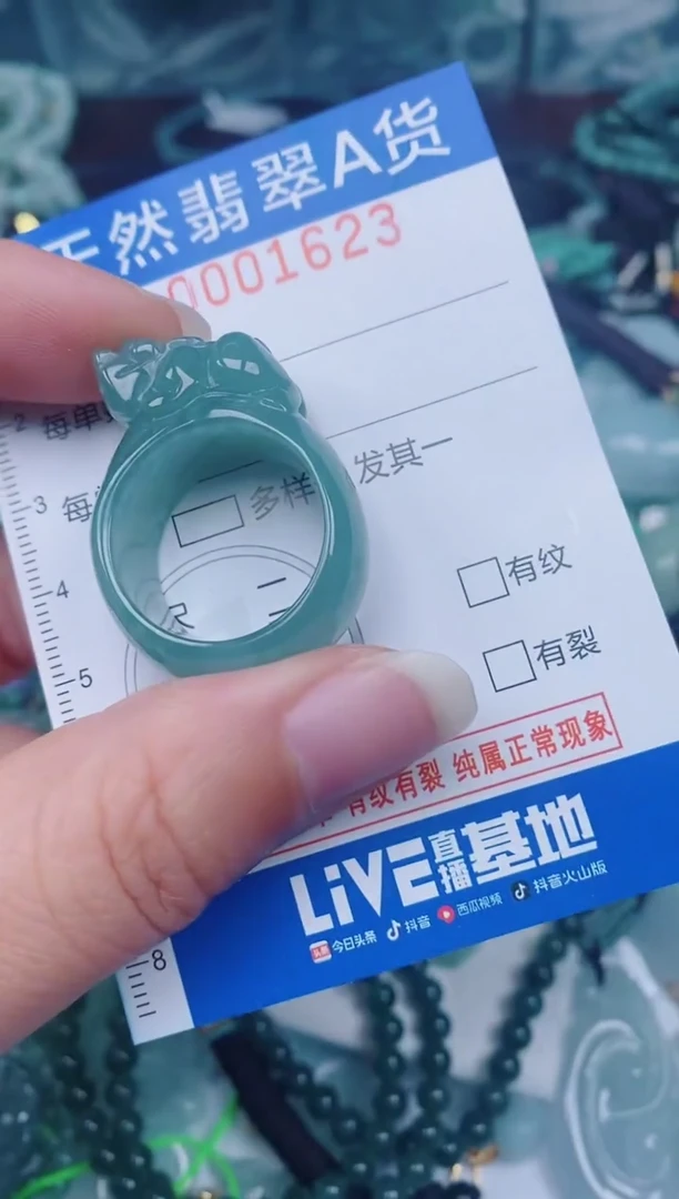 颈饰未镶嵌翡翠00001623