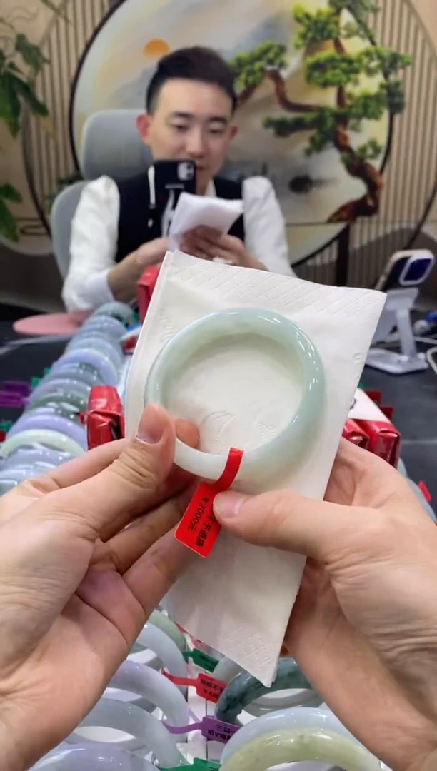 未镶嵌手镯翡翠1041